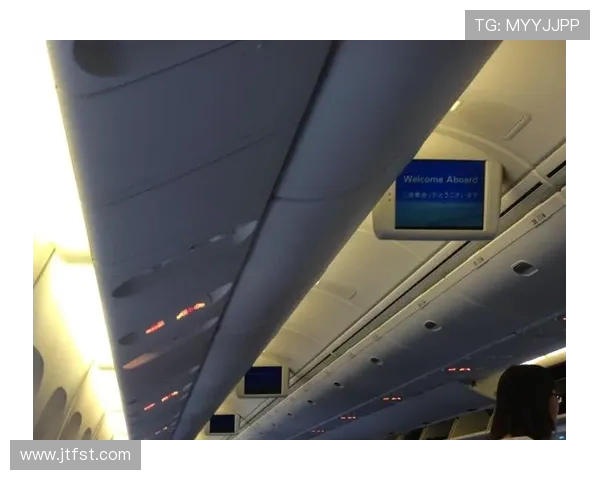 飞机客舱顶板的吸音结构